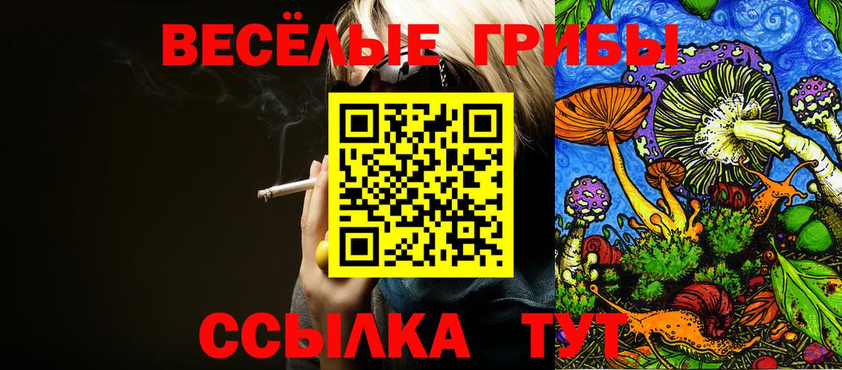 Удомля  Галлюциногенные грибы мицелий  Вход с VPN 